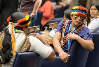 Um participante do Fórum Permanente de Questões Indígenas no plenário da Assembleia Geral
