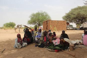 चाड में प्रवेश करने के बाद सूडान के शरणार्थियों का एक समूह एक पेड़ के नीचे आराम करता हुए.