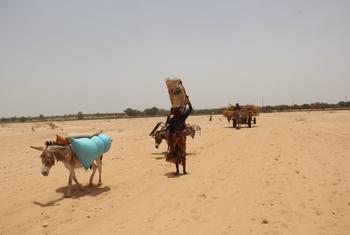 Refugees from Sudan continue to arrive in Chad.