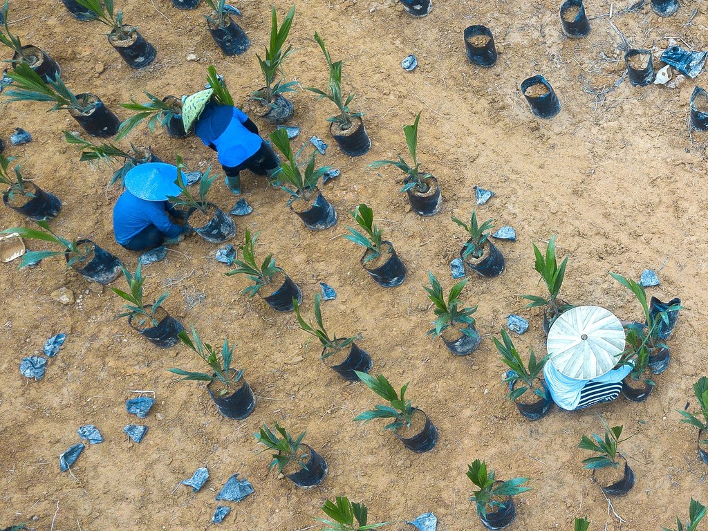 Les 17 Objectifs de développement durable sont tous interconnectés. Par exemple, les progrès réalisés dans le cadre de l’ODD 2 visant à mettre fin à la faim sont étroitement liés aux avancées en matière de santé et d’éducation.