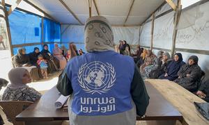Médico de la división de Salud Medioambiental de UNRWA explicando a las madres desplazadas cómo tratar las picaduras de insectos que afectan a sus hijos.