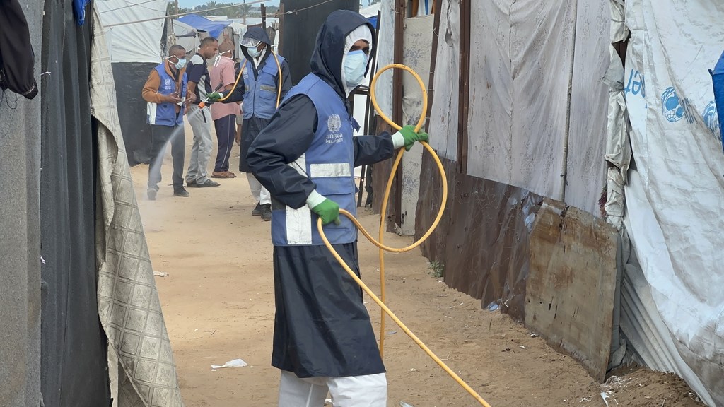 Des agents de santé environnementale de l'UNRWA pulvérisent des insecticides dans les abris des personnes déplacées à Gaza.