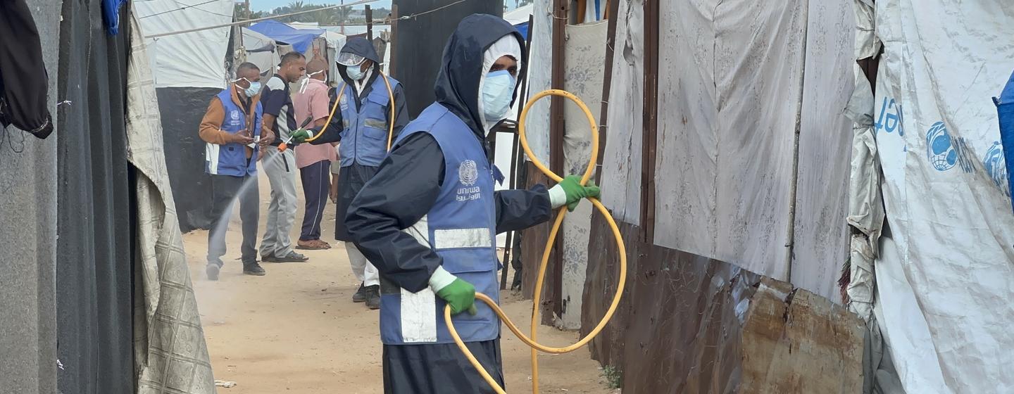 Environmental health workers from UNRWA spray insecticides amongst shelters for displaced people. 