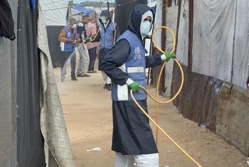 Trabajadores de salud medioambiental de UNRWA rocían insecticidas entre los refugios para desplazados. 