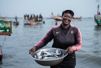 Uma pescadora a caminho de vender o peixe que pescou