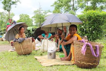 महिलाएँ, असम के चाय बागानों में आधे कार्यबल का प्रतिनिधित्व करती हैं, और इनमें से कई, घर पर, काम के दौरान या सार्वजनिक स्थानों पर हिंसा का अनुभव करती हैं.