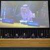 Ministerial meeting ahead of the high-level international conference.