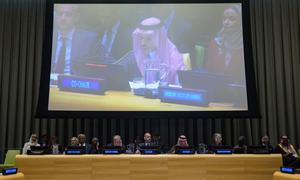 Ministerial meeting ahead of the high-level international conference.