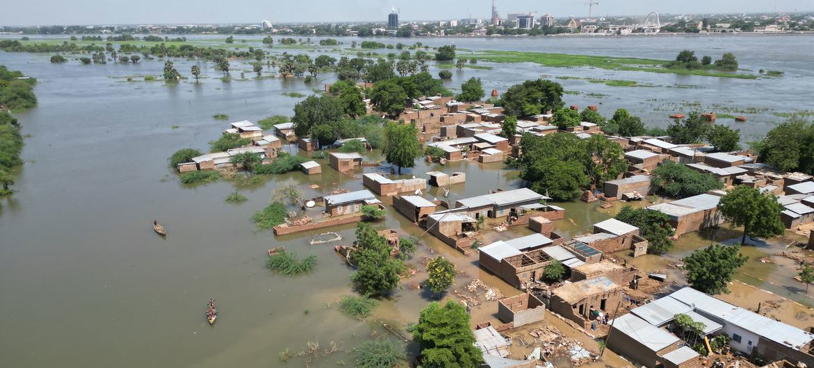 在喀麦隆极北的库塞里地区，洛贡河的水泛滥成灾。
