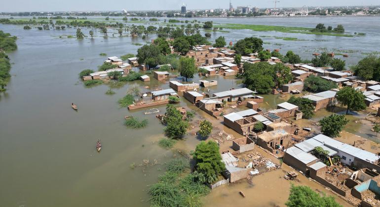 غمرت مياه نهر لوغون في منطقة كوسيري في أقصى شمال الكاميرون.