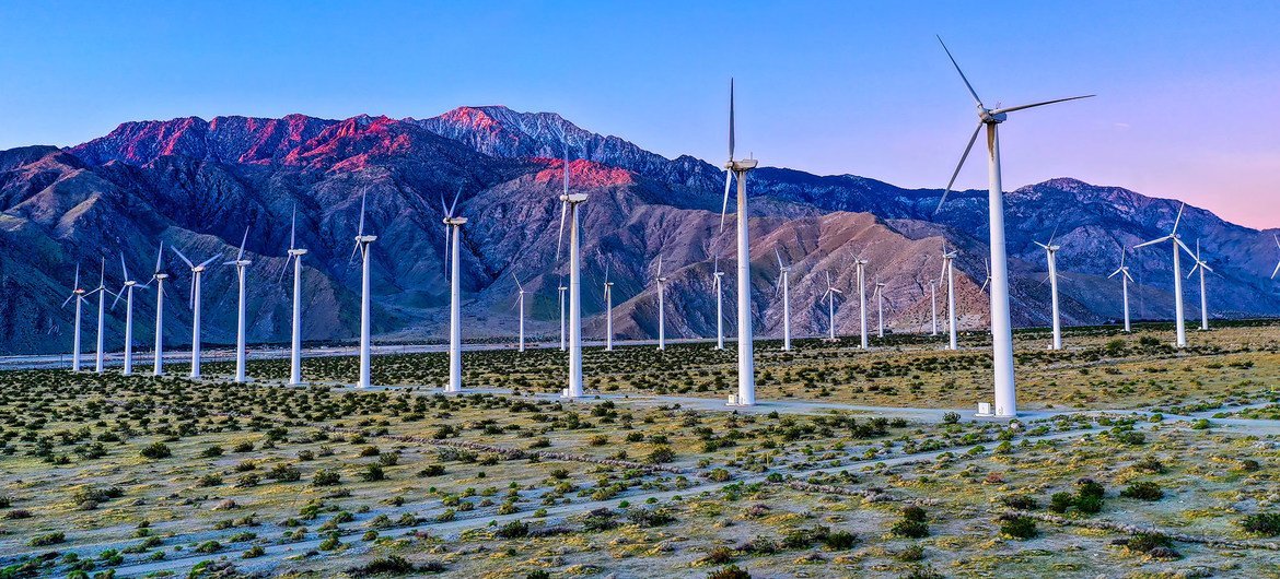 Les parcs éoliens produisent de l'électricité et réduisent la dépendance aux énergies fossiles.