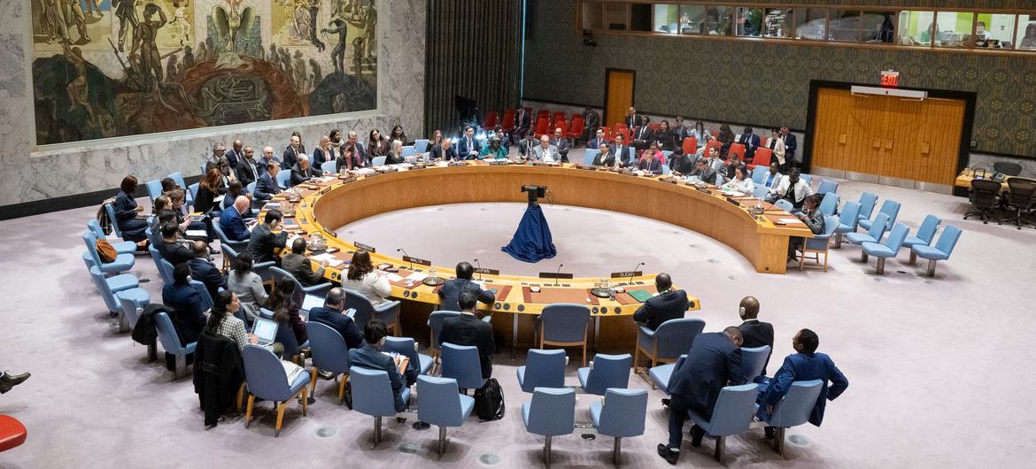 Заседание Совета Безопасности.