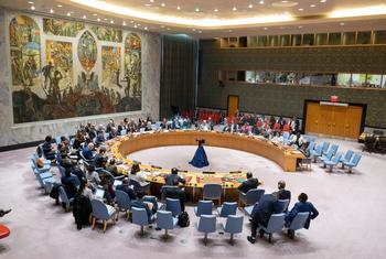 Заседание Совета Безопасности.