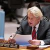 Тор Веннесланд на заседании Совета Безопасности ООН