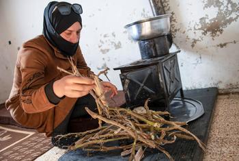 在大马士革农村地区，一名妇女在给暖炉添加树枝。