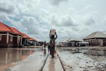 Des millions de personnes sont toujours déplacées au Nigéria en raison des conflits, des effets du changement climatique et des catastrophes naturelles. Sur cette photo d'archive, une fille transporte de l'eau jusqu'à son abri dans un camp de personnes d…