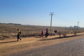 在杰拉济州首府瓦德迈达尼爆发冲突后，流离失所的苏丹儿童和家庭徒步逃离。