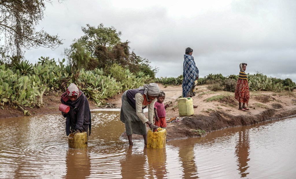 马达加斯加南部遭遇干旱，人们会用水洼里的水，甚至会卖这些水洼。图中一个当地家庭正在收集雨水。