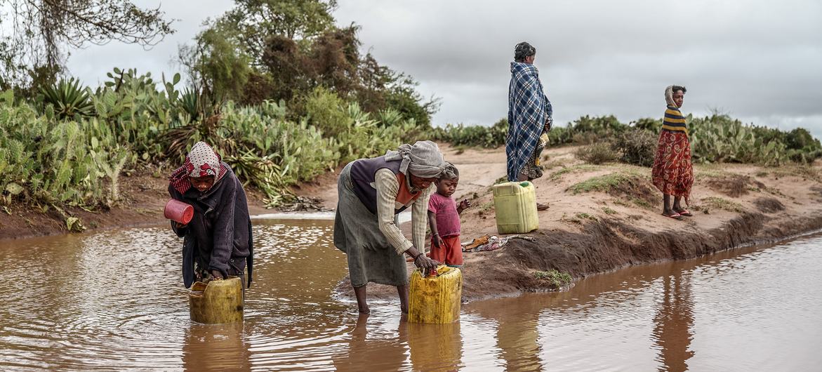 Une famille recueille l'eau de pluie sur la route d'Ambohimalaza, à 13 km d'Ambovombe, dans le sud de Madagascar.