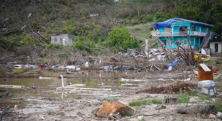 Toma cercana del 90% de los manglares costeros vitales dañados en Union Island.