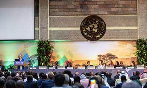  Inger Andersen, Diretora Executiva do Pnuma, discursando durante a abertura do segmento de alto nível na Unea-6