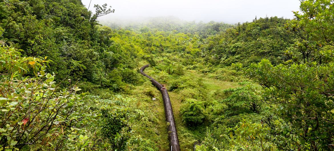 Dominica's geothermal energy pipe, Roseau Valley