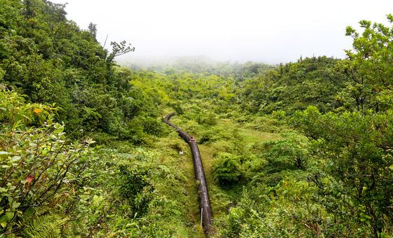 Dominica's geothermal energy pipe, Roseau Valley