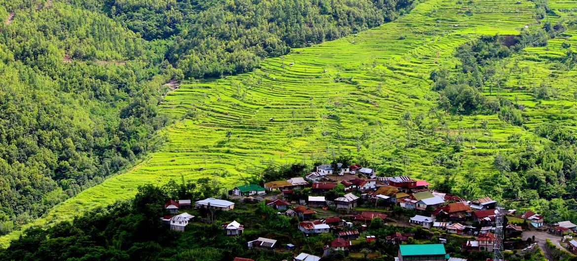 भारत का पूर्वोत्तर क्षेत्र, 30 प्रतिशत जैव विविधता तथा 220 स्थानीय समुदायों का घर है. 
