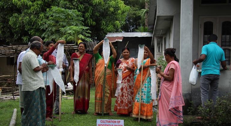 पूर्वोत्तर भारत में पारम्परिक ज्ञान को पुनर्जीवित करते हुए, पारिस्थितिकी तंत्र आधारित समाधानों को बढ़ावा देने के प्रयास किए जा रहे हैं. पूर्वोत्तर भारत में पारम्परिक ज्ञान को पुनर्जीवित करते हुए, पारिस्थितिकी तंत्र आधारित समाधानों को बढ़ावा देने के प्रयास किए जा रहे हैं.