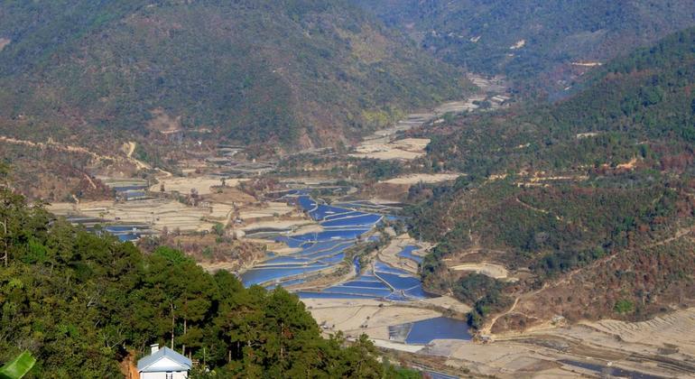 यूएनडीपी की एक परियोजना के तहत, पूर्वोत्तर भारत में पारम्परिक ज्ञान को पुनर्जीवित करते हुए, पारिस्थितिकी तंत्र आधारित समाधानों को बढ़ावा दिया जा रहा है. यूएनडीपी की एक परियोजना के तहत, पूर्वोत्तर भारत में पारम्परिक ज्ञान को पुनर्जीवित करते हुए, पारिस्थितिकी तंत्र आधारित समाधानों को बढ़ावा दिया जा रहा है.