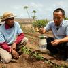 In Cabo Verde, a farmer receives expert training as part of the FAO-China South-South Cooperation (SSC) Programme.