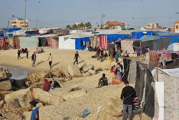 Des tentes de personnes déplacées dans la zone d'Al-Mawasi, à l'ouest de Rafah, dans le sud de Gaza.