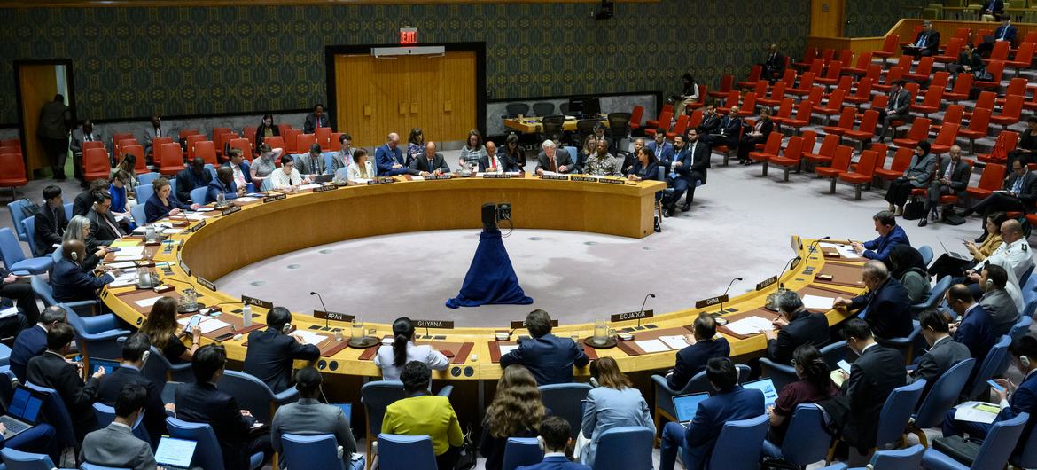 A wide view of the Security Council meeting on the situation in Gaza.