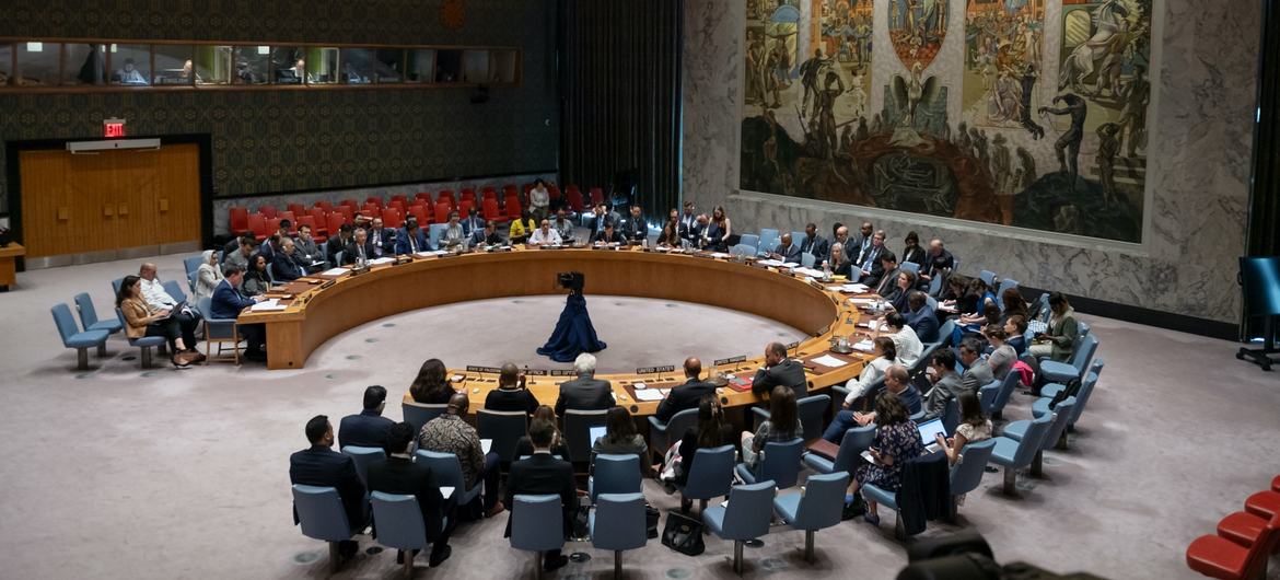 A wide view of the Security Council meeting.