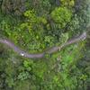 Le bassin du Rio Provaz à São Tomé et Príncipe.