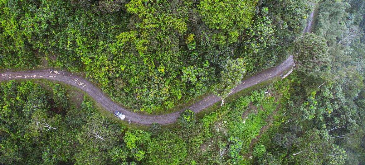 A bacia do Rio Provaz é uma importante fonte de água na cidade de Neves, em São Tomé e Príncipe A bacia do Rio Provaz é uma importante fonte de água na cidade de Neves, em São Tomé e Príncipe