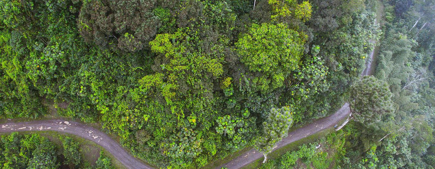 Um terço das bacias hidrográficas apresentou condições normais no ano passado