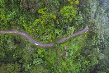 Le bassin du Rio Provaz à São Tomé et Príncipe.