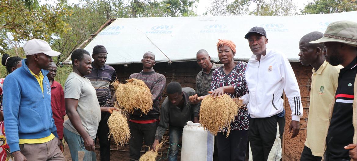 La Congolaise Maman Antho montre le riz récolté avec un groupe d'agriculteurs.