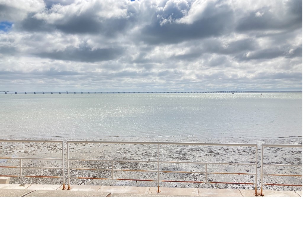 Vista do rio Tejo em Lisboa com uma longa ponte ao longe sob um céu nublado.
