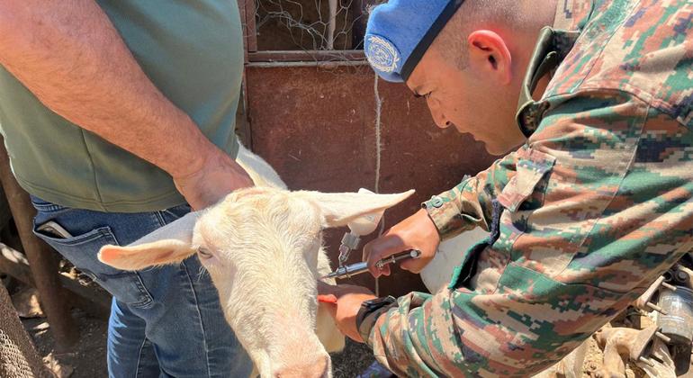 UNIFIL: भारतीय शान्तिरक्षकों के पशु टीकाकरण से आर्थिक मज़बूती का रास्ता
