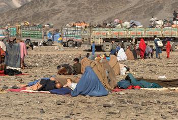 Женщин-сотрудниц не допускают к местам проведения операций по оказанию помощи афганским беженцам, вернувшимся из Ирана и Пакистана.