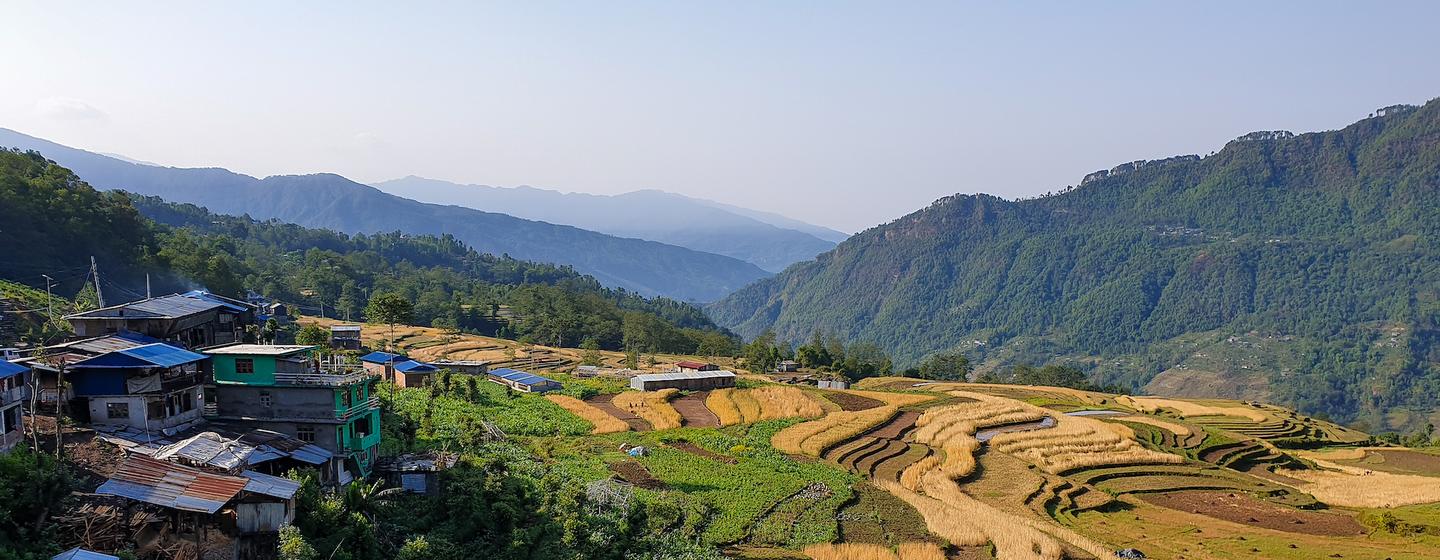नेपाल में मानसून की बारिश के लिए तैयार पहाड़ी ढलानों पर बने खेत.