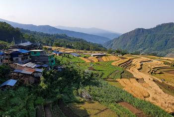 नेपाल में मानसून की बारिश के लिए तैयार पहाड़ी ढलानों पर बने खेत.