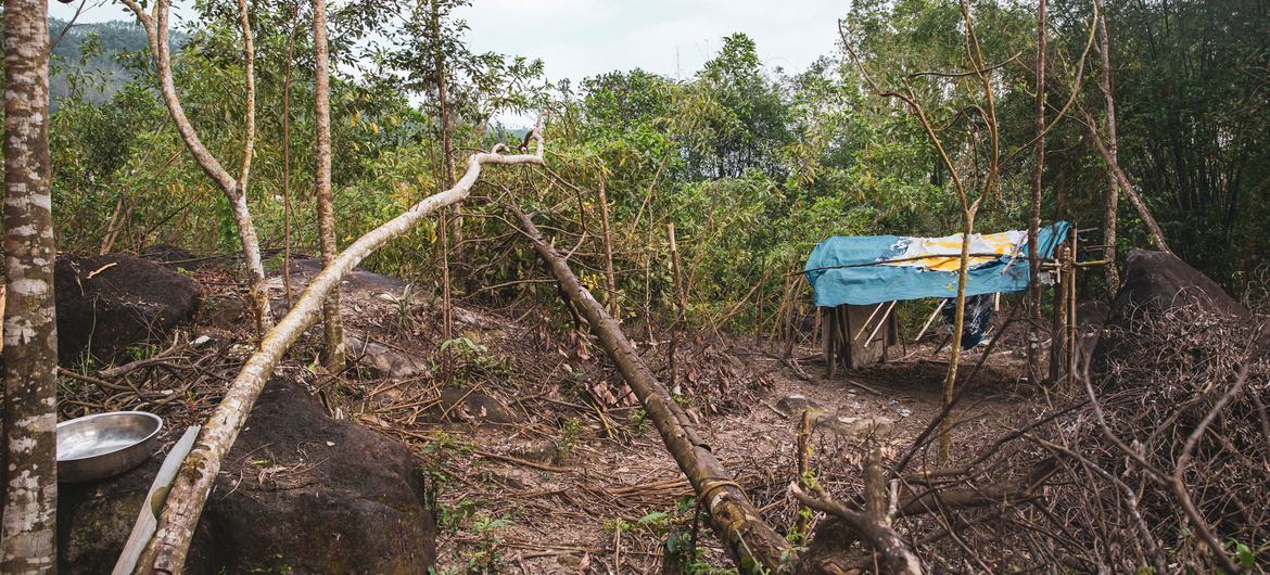 Six environmental human rights defenders have been arrested in Viet Nam since 2021, according to OHCHR.