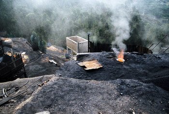 Embora o mundo precise de uma redução de 6% nos combustíveis fósseis para evitar o pior do aquecimento global, espera-se que a produção das minas de carvão aumente 2%