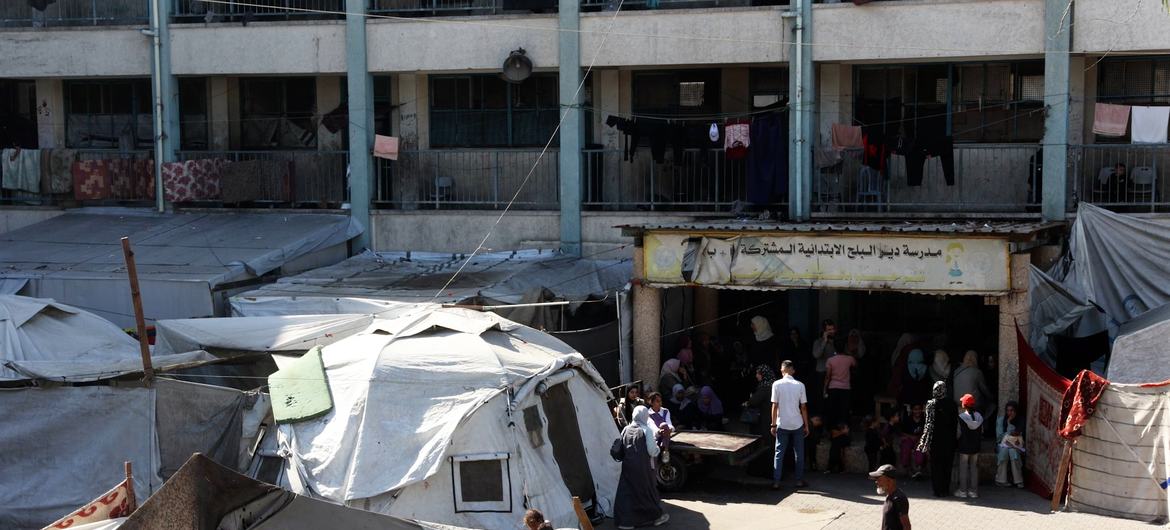 Deir al-Balah Shule ya Msingi ya Ushirikiano, inayoendeshwa na UNRWA. Deir al-Balah Shule ya Msingi ya Ushirikiano, inayoendeshwa na UNRWA.