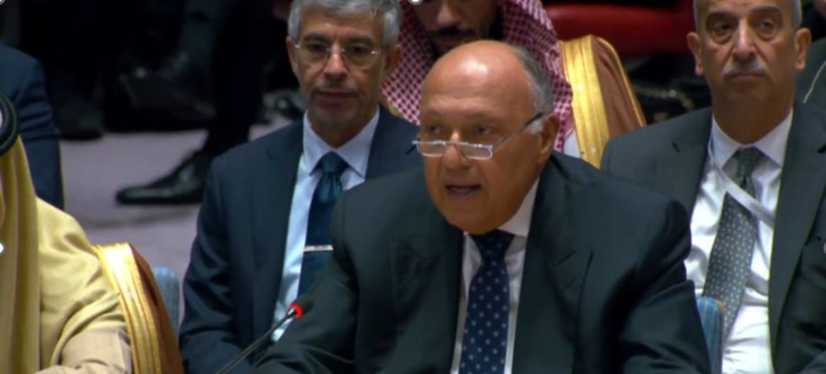 وزير الخارجية المصري سامح شكري يتحدث أمام مجلس الأمن الدولي.