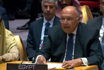 وزير الخارجية المصري سامح شكري يتحدث أمام مجلس الأمن الدولي.