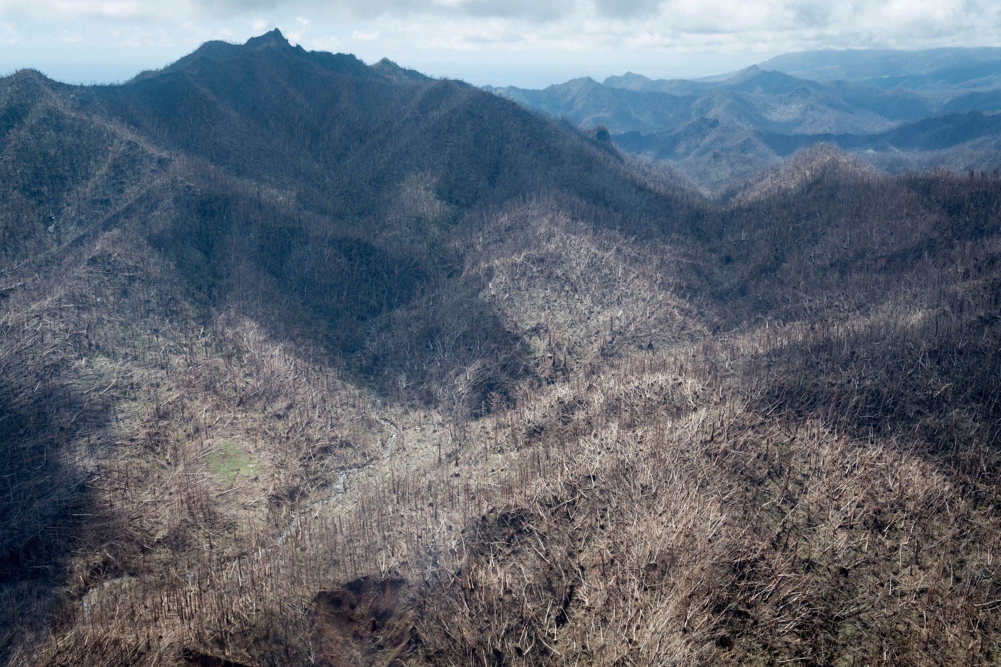 An aerial view of Salybia, Dominica, showing extensive hurricane damage with deforested mountains and barren landscapes.